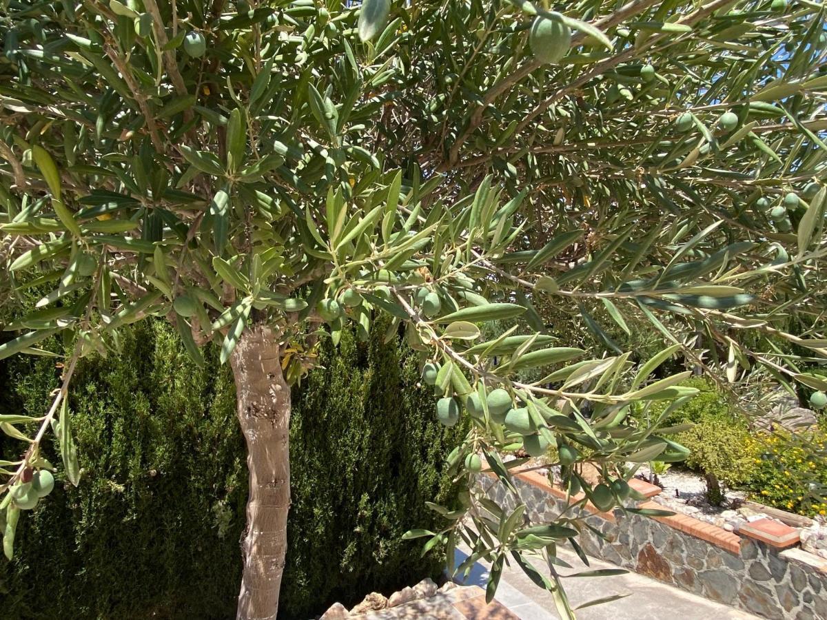 B&B Casa Oceo - Malaga - Andalusie 알하우린데라토레 외부 사진
